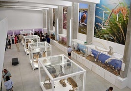 Presencia de visitantes en el Pabellón de Historia Natural de la UAL.