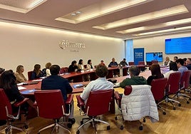 Las jornadas sobre contratación públicas celebradas esta semana en el salón de plenos de Cámara Granada