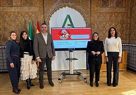 Presentación de 'Aflamencarte' en la sede de la Junta de Andalucía en Almería.