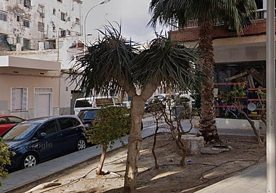 La zona ajardinada ha sido limpiada y desbrozada recientemente.