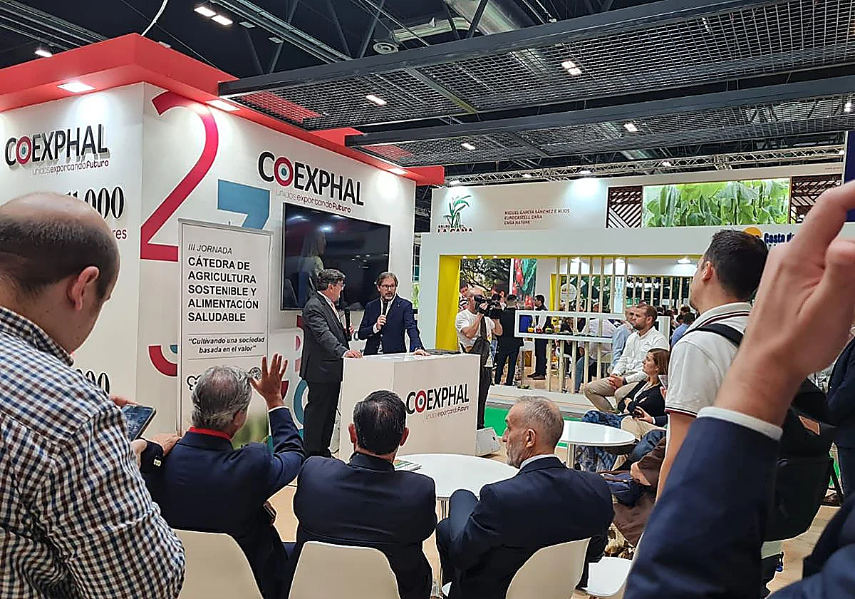 Coexphal critica que la Eurocámara apruebe un etiquetado «tramposo» para las hortalizas del Sáhara Occidental