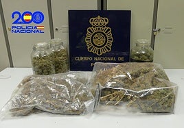 Lo pillan en su casa de Andújar cultivando marihuana y entrega dos kilos de droga