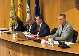 El diputado provincial de Emergencias de Granada, Eduardo Martos, segundo desde la derecha en la imagen, en la jornada sobre gestión de emergencias y respuesta ante catástrofes naturales
