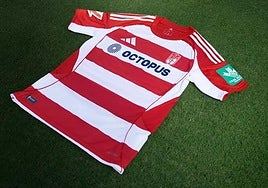 Así luce Octopus en la camiseta.