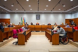 Mayte Jiménez Cabrera toma posesión como nueva concejal del Ayuntamiento de Motril