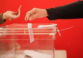 El gran hermano electoral