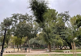 Parque de la Concordia, en una imagen de archivo.