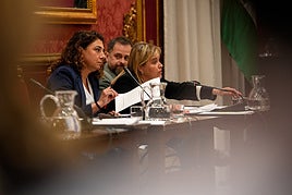 La concejala del PSOE en el Ayuntamiento de Granada, Nuria Gutiérrez.