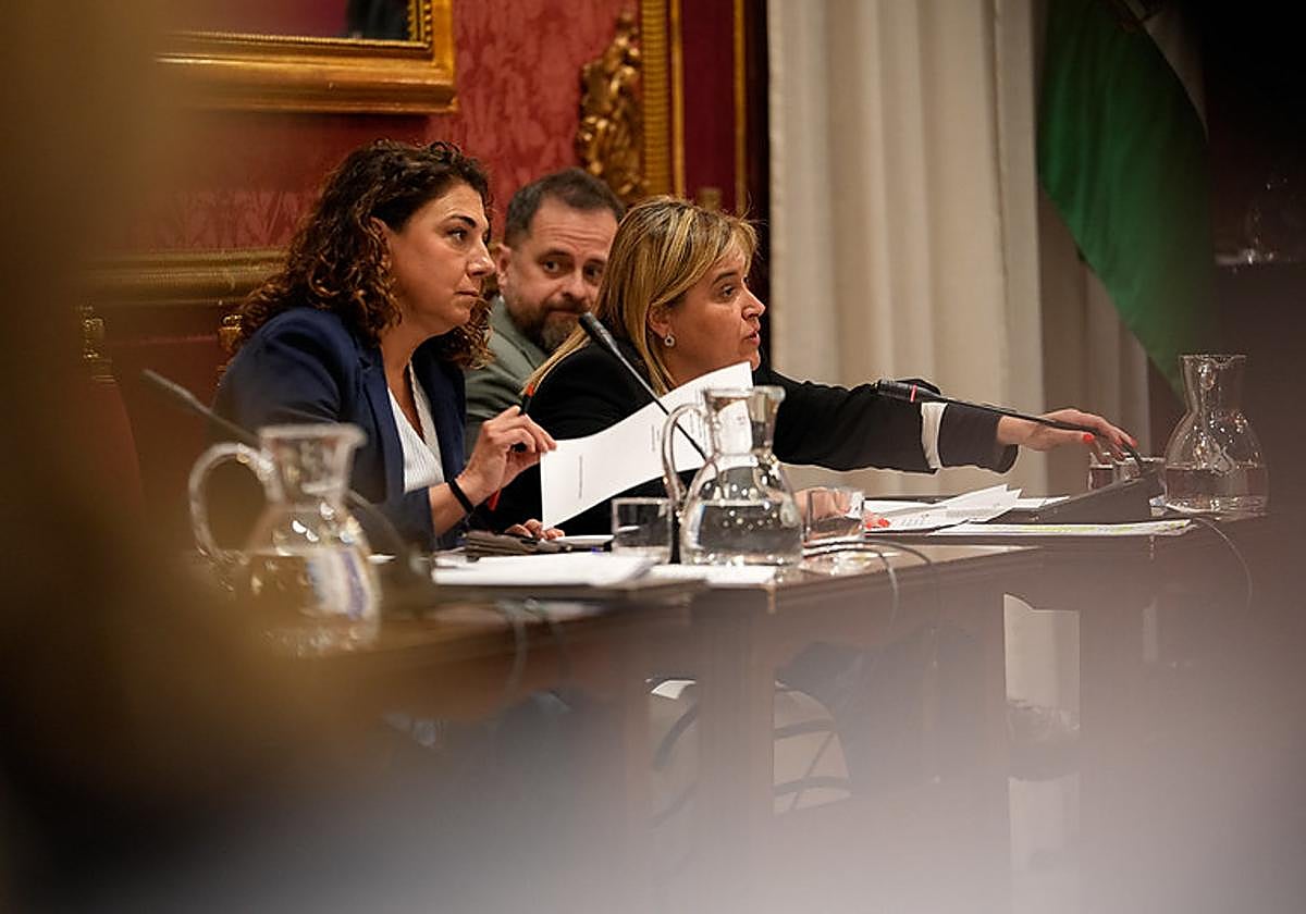 La concejala del PSOE en el Ayuntamiento de Granada, Nuria Gutiérrez.