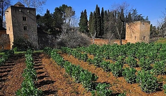 Casa de la Huerta Colorá en el Generalife .