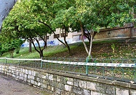 Lugar de los hechos en el parque de La Concordia de Jaén.