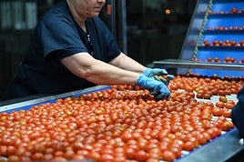 Una trabajadora del manipulado en un almacén de la Costa.