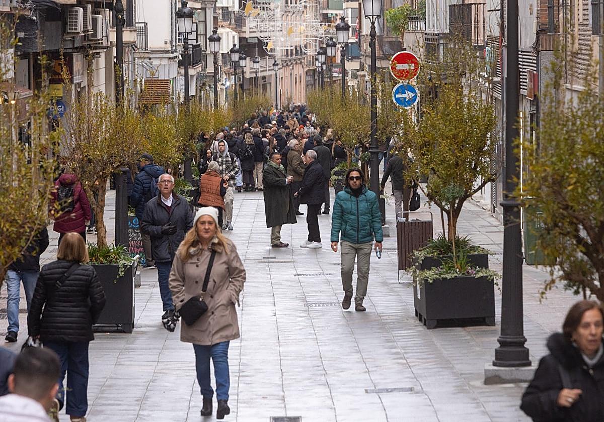 El guiño a Granada de los nuevos árboles plantados en la calle San Antón