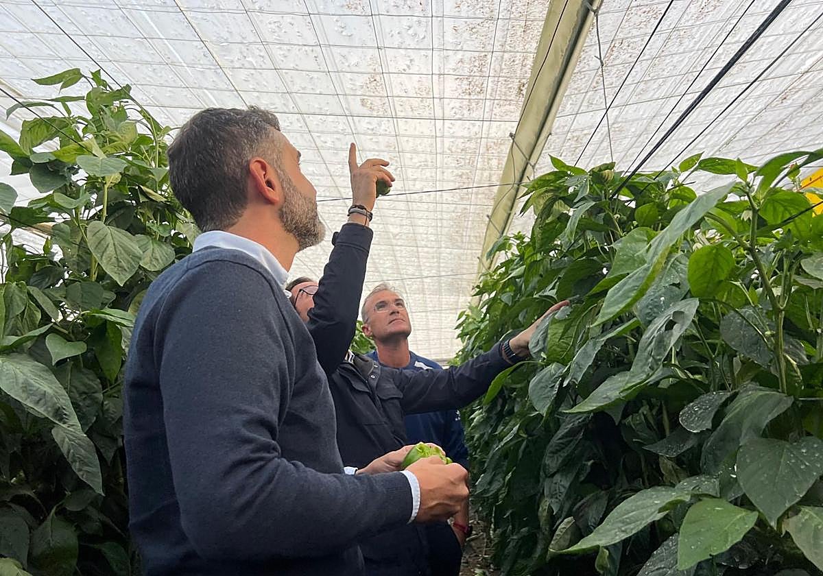 La Junta impulsa la contratación de seguros agrarios con subvenciones por valor de 16,3 millones