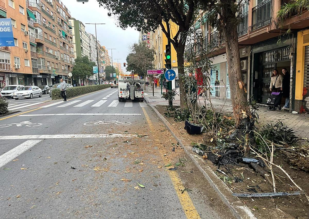 Imagen secundaria 1 - Un herido tras chocar su coche contra un árbol en Camino de Ronda