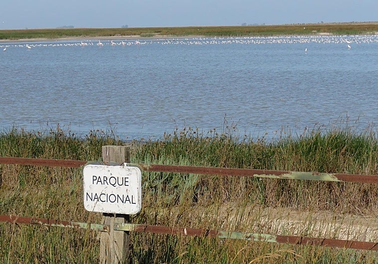 La batalla vuelve a Doñana con el polémico deslinde del Gobierno en sus marismas