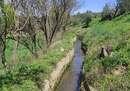 Comunidades de regantes de todo el país se reúnen en Granada en defensa del regadío histórico y tradicional