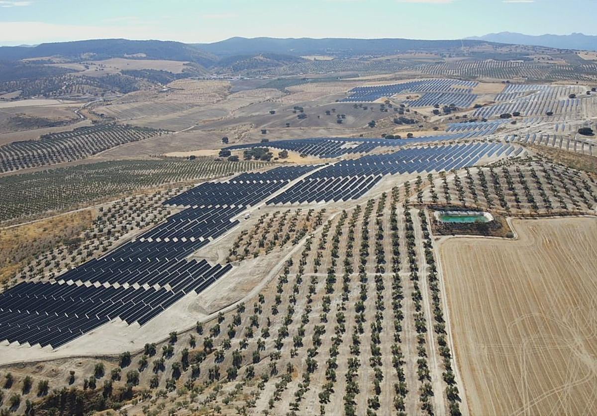 El complejo fotovoltaico de la compañía Plenitude que comenzó a funcionar este lunes en Chimeneas.