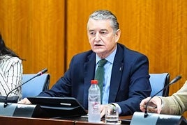 El consejero de Sanidad, Presidencia y Emergencias, Antonio Sanz