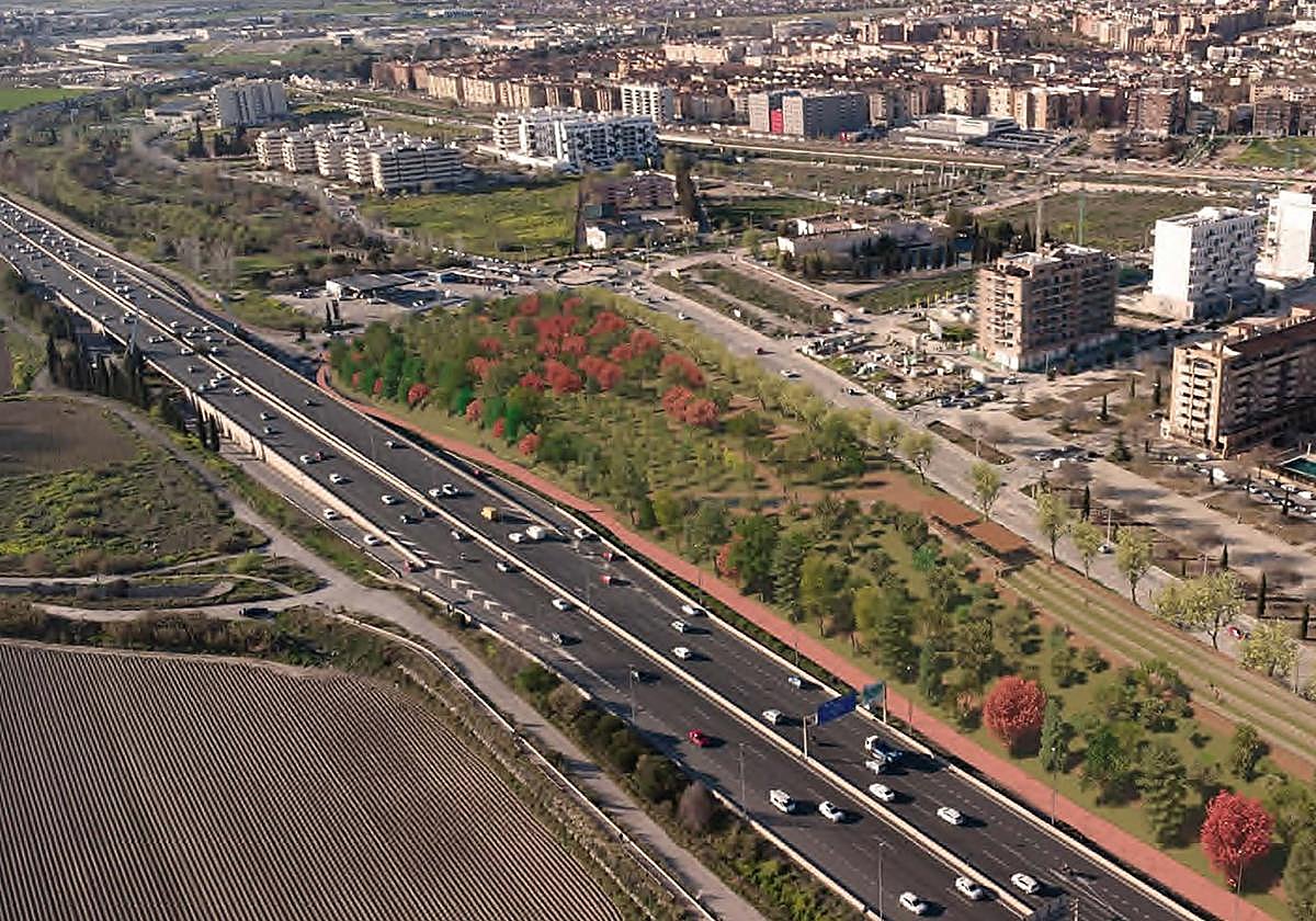 El anillo verde roza los 130.000 árboles plantados cinco años después