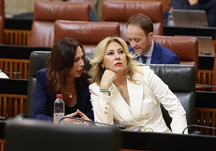 Andalucía critica que el Gobierno no haya convocado a las CCAA para concretar el abono único de transporte