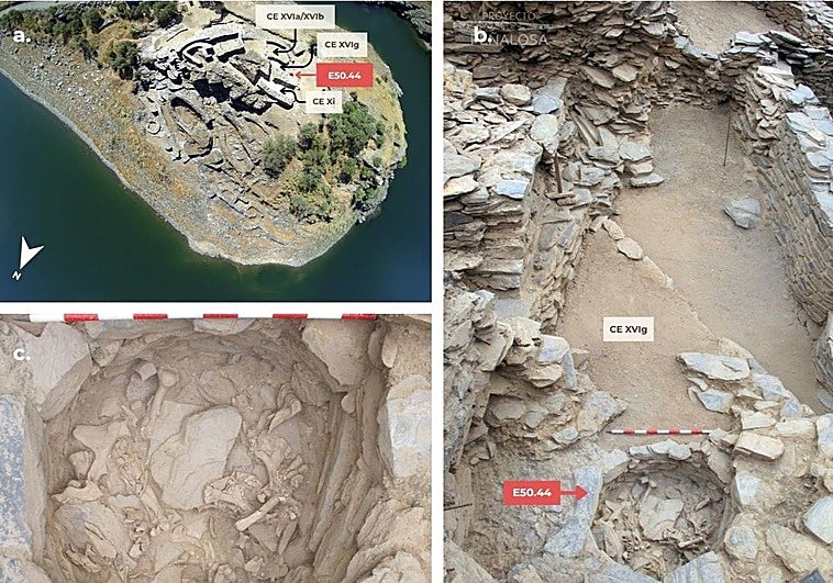 Restos de animales de hace unos 4.000 años abren nuevas vías de estudio sobre las comidas durante la Edad del Bronce