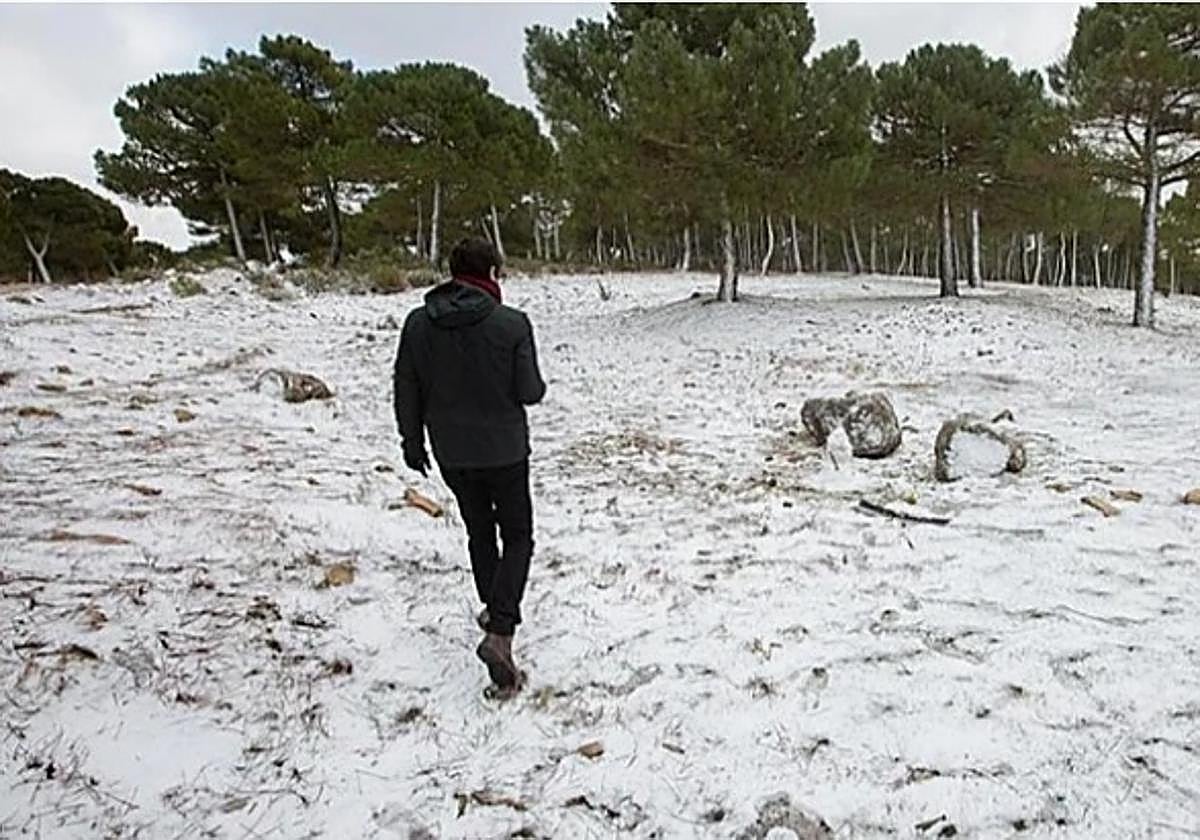 Aviso de Aemet por nevadas y frío polar en Granada: 48 municipios afectados y horas críticas