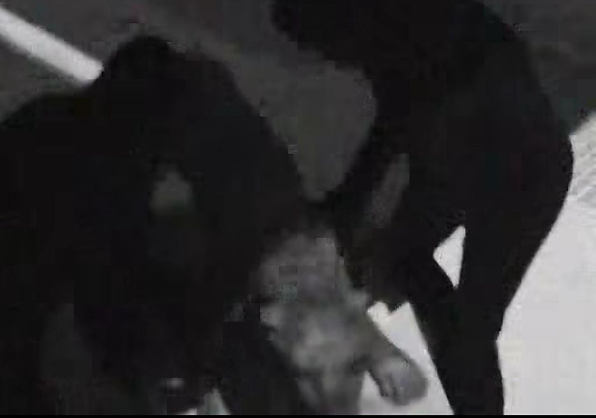 Â¿Han robado la pantera de Ventas de Huelma un 28 de diciembre?