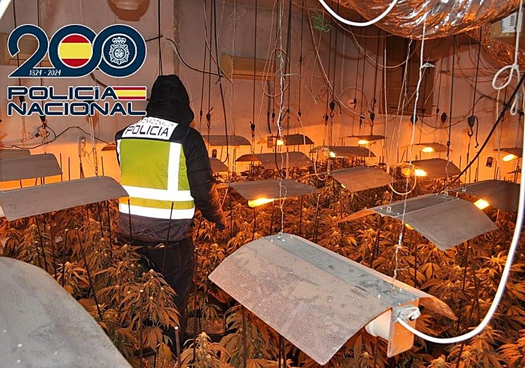 Cae una banda de narcos de Granada que tenían una katana, un estoque, un hacha y un rifle de aire comprimido