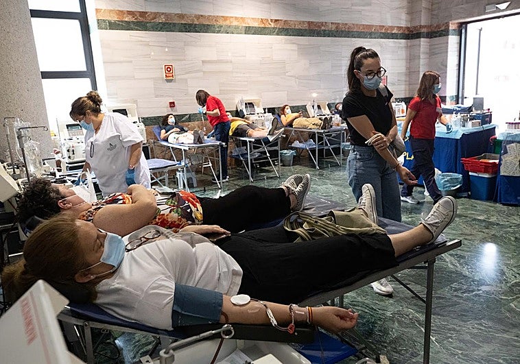 Dónde donar sangre en Granada para ayudar a los heridos en el accidente de Adamuz