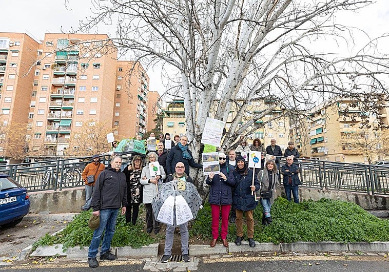 El distrito Genil tiene un problema de raíces