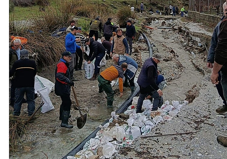 Palas y voluntad para devolver la normalidad a Beas de Granada