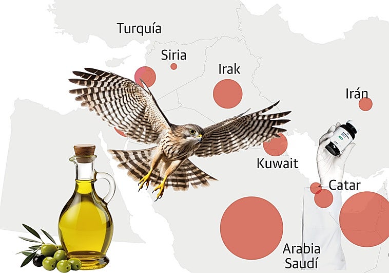 Qué vende Granada a Oriente Medio: de halcones a farmacoquímicos y aceite