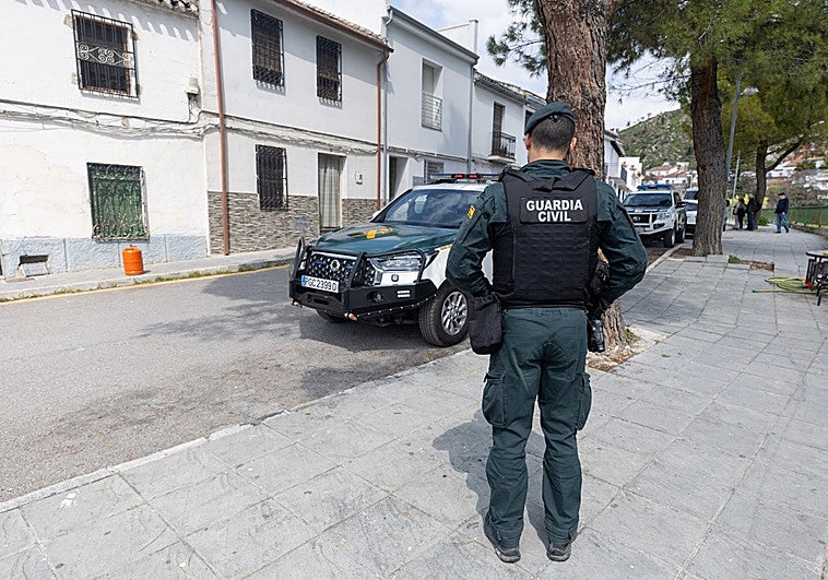 Despliegue de la Guardia Civil en Pinos Puente: cae un invernadero de marihuana y 20 enganches ilegales