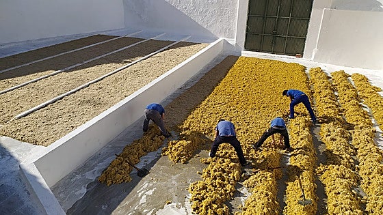 La empresa de Andújar que ilumina la Semana Santa: vende 100 toneladas de velas