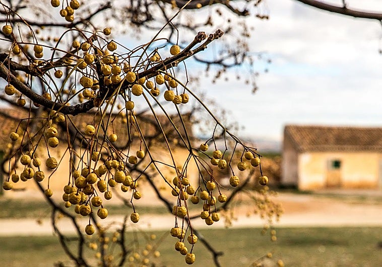 Aviso de Hacienda: a la venta 58 fincas desde 105 euros