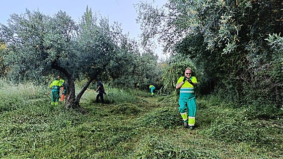 La procesión del Corpus: toldos por arriba, juncias por abajo