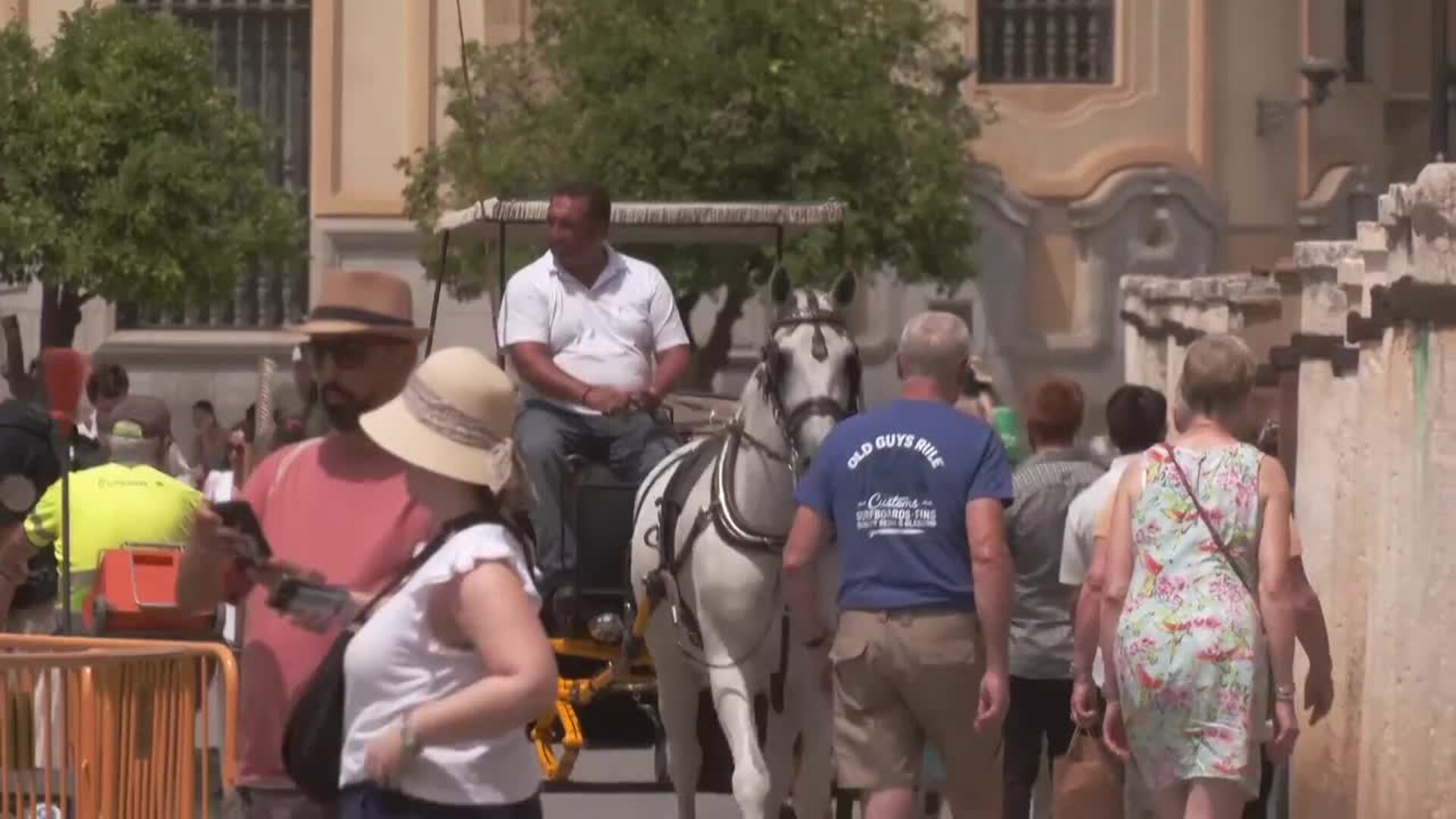 Los cocheros afrontas las olas de calor y piden sombras a la espera del cambio normativo