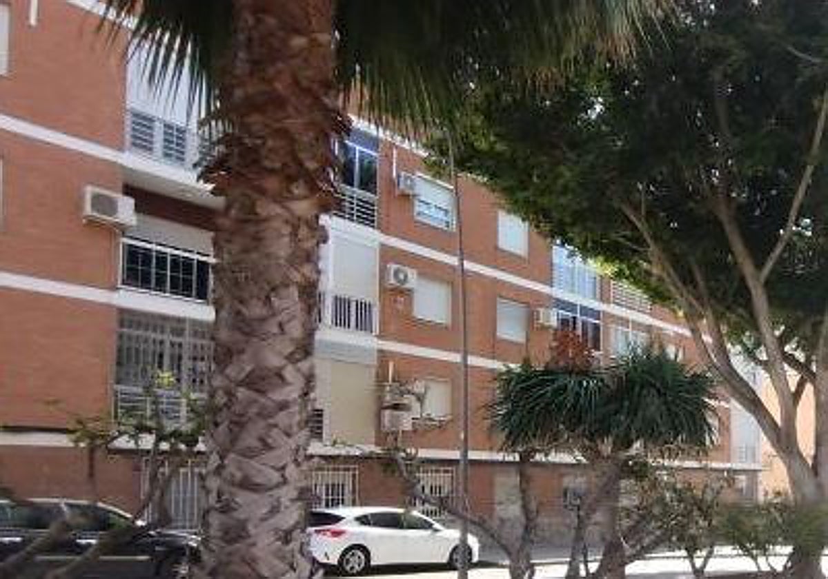 Árboles en una calle de Almería.