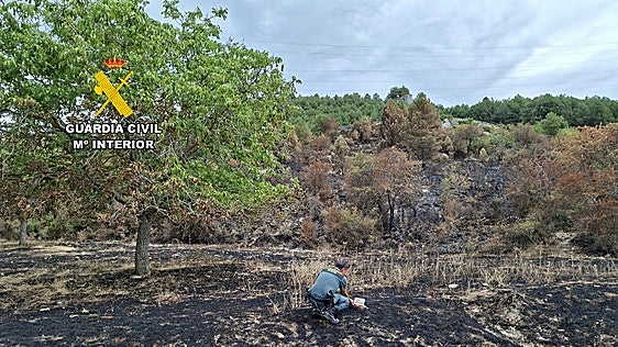 Tres detenidos por el incendio forestal de julio en la Sierra de Segura