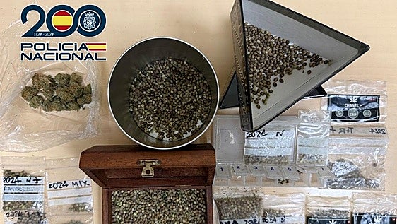 Incautan más de 220 plantas de marihuana y desmantelan un invernadero y dos plantaciones de exterior en Granada
