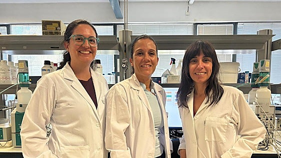 Un estudio liderado por la UGR descubre en la Cueva de Nerja una pista clave sobre el origen de la dolomita y su formación a baja temperatura
