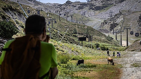 Sierra Nevada inaugura su refugio climático