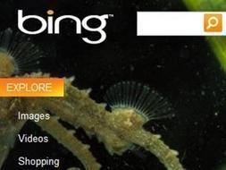 El nuevo navegador será muy visual y se modificará cada día./ Ep