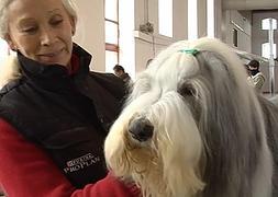 Una dueña, con su perro. / R. C.