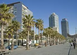 Vista del paseo marítimo del Puerto Olímpico de Barcelona. / Archivo