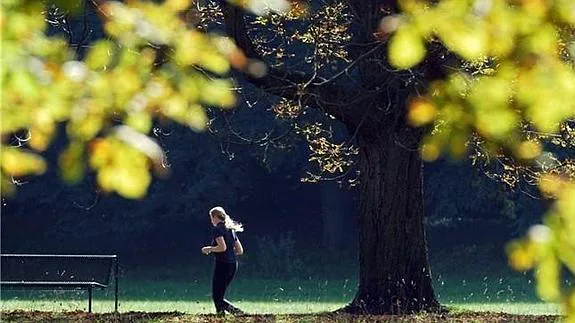 Una mujer joven practica running en un parque con un paisaje otoñal. 