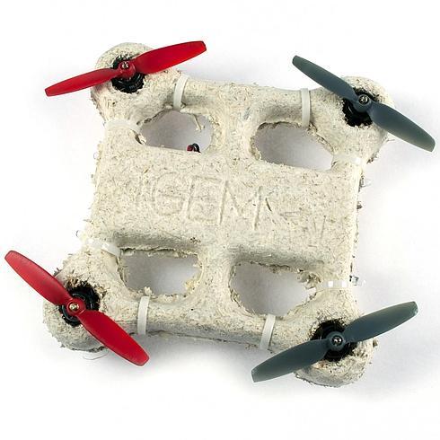 Prototipo de este 'bio-dron' 