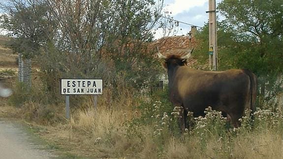 Señal de acceso a Estepa de San Juan, en Soria, tercer pueblo más pequeño de España con siete habitantes.