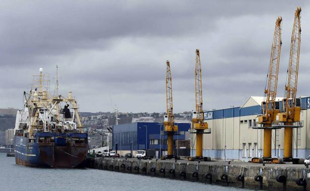 Cuatro grúas paradas en uno de los muelles del puerto de Las Palmas. 